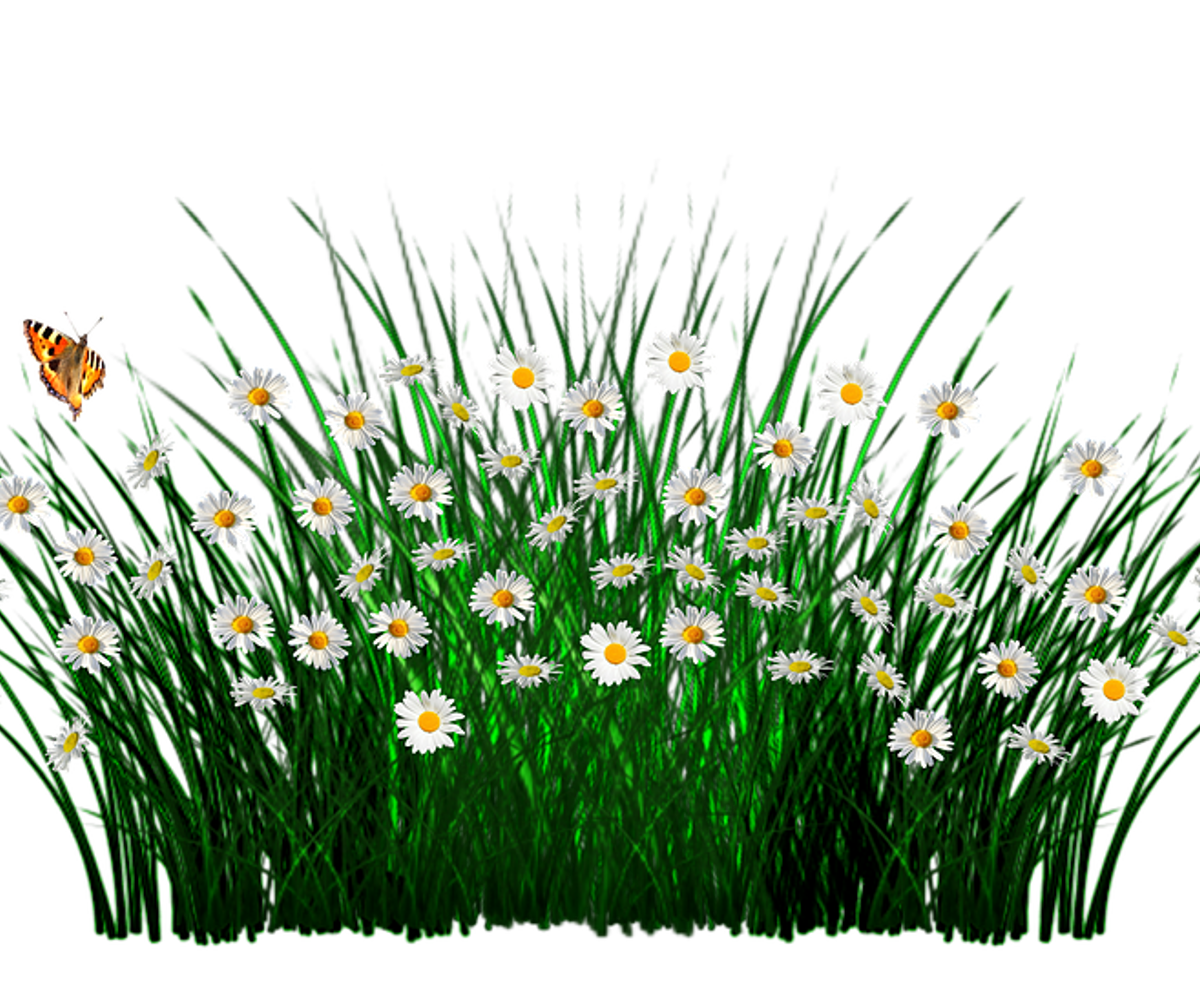 spring-1403613_960_720.png