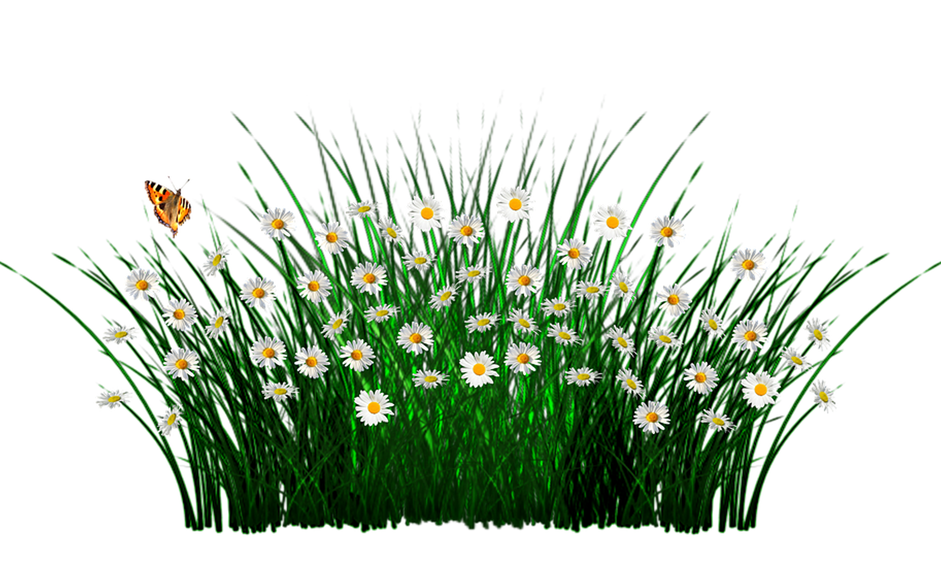 spring-1403613_960_720.png